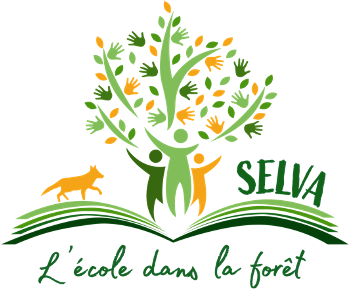 Selva